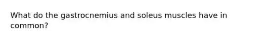 What do the gastrocnemius and soleus muscles have in common?