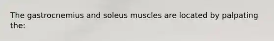 The gastrocnemius and soleus muscles are located by palpating the: