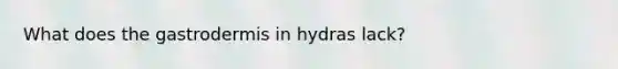 What does the gastrodermis in hydras lack?