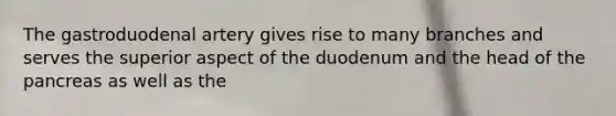 The gastroduodenal artery gives rise to many branches and serves the superior aspect of the duodenum and the head of the pancreas as well as the