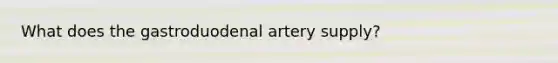 What does the gastroduodenal artery supply?