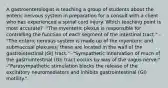 A gastroenterologist is teaching a group of students about the enteric nervous system in preparation for a consult with a client who has experienced a spinal cord injury. Which teaching point is most accurate? -"The myenteric plexus is responsible for controlling the function of each segment of the intestinal tract." -"The enteric nervous system is made up of the myenteric and submucosal plexuses; these are located in the wall of the gastrointestinal (GI) tract." -"Sympathetic innervation of much of the gastrointestinal (GI) tract occurs by way of the vagus nerve." -"Parasympathetic stimulation blocks the release of the excitatory neuromediators and inhibits gastrointestinal (GI) motility."