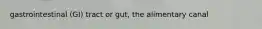 gastrointestinal (GI) tract or gut, the alimentary canal