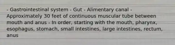 - Gastrointestinal system - Gut - Alimentary canal - Approximately 30 feet of continuous muscular tube between mouth and anus - In order, starting with the mouth, pharynx, esophagus, stomach, small intestines, large intestines, rectum, anus