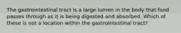 The gastrointestinal tract is a large lumen in the body that food passes through as it is being digested and absorbed. Which of these is not a location within the gastrointestinal tract?