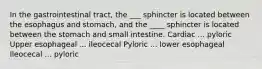 In the gastrointestinal tract, the ___ sphincter is located between the esophagus and stomach, and the ____ sphincter is located between the stomach and small intestine. Cardiac ... pyloric Upper esophageal ... ileocecal Pyloric ... lower esophageal Ileocecal ... pyloric