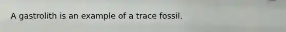 A gastrolith is an example of a trace fossil.