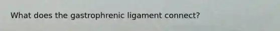 What does the gastrophrenic ligament connect?