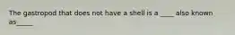 The gastropod that does not have a shell is a ____ also known as_____