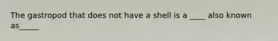 The gastropod that does not have a shell is a ____ also known as_____