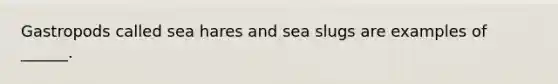 Gastropods called sea hares and sea slugs are examples of ______.