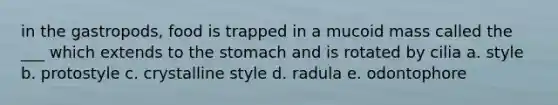 in the gastropods, food is trapped in a mucoid mass called the ___ which extends to the stomach and is rotated by cilia a. style b. protostyle c. crystalline style d. radula e. odontophore