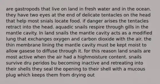 are gastropods that live on land in fresh water and in the ocean. they have two eyes at the end of delicate tentacles on the head that help most snials locate food. if danger arises the tentacles retract into the head. aquadic snails respire through gills in the mantle cavity. In land snails the mantle cavity acts as a modified lung that exchanges oxygen and carbon dioxide with the air. the thin membrane lining the mantle cavity must be kept moist to allow gasese to diffuse through it. for this reason land snails are most active when the air had a highmoisture content. snails survive dru peridos bu becoming inactive and retreating into their shells they seal the opening to their shell with a mucous plug which keeps them from drying out