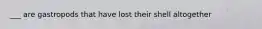 ___ are gastropods that have lost their shell altogether