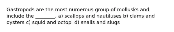 Gastropods are the most numerous group of mollusks and include the ________. a) scallops and nautiluses b) clams and oysters c) squid and octopi d) snails and slugs