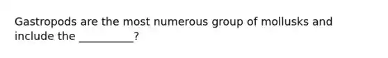 Gastropods are the most numerous group of mollusks and include the __________?