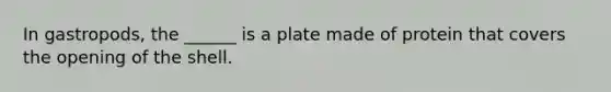 In gastropods, the ______ is a plate made of protein that covers the opening of the shell.