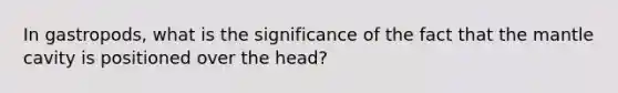 In gastropods, what is the significance of the fact that the mantle cavity is positioned over the head?