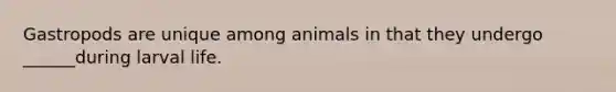 Gastropods are unique among animals in that they undergo ______during larval life.