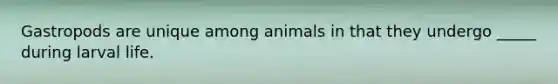 Gastropods are unique among animals in that they undergo _____ during larval life.