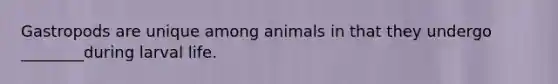 Gastropods are unique among animals in that they undergo ________during larval life.