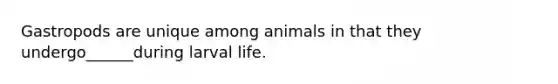 Gastropods are unique among animals in that they undergo______during larval life.
