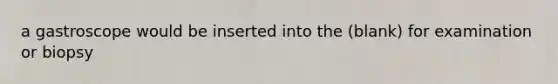 a gastroscope would be inserted into the (blank) for examination or biopsy