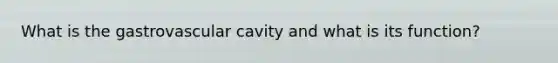 What is the gastrovascular cavity and what is its function?