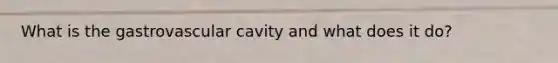 What is the gastrovascular cavity and what does it do?