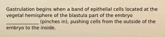 Gastrulation begins when a band of epithelial cells located at the vegetal hemisphere of the blastula part of the embryo ______________ (pinches in), pushing cells from the outside of the embryo to the inside.