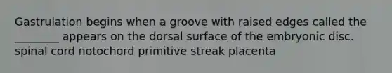 Gastrulation begins when a groove with raised edges called the ________ appears on the dorsal surface of the embryonic disc. spinal cord notochord primitive streak placenta