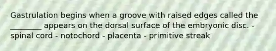 Gastrulation begins when a groove with raised edges called the ________ appears on the dorsal surface of the embryonic disc. - spinal cord - notochord - placenta - primitive streak