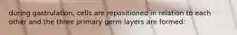 during gastrulation, cells are repositioned in relation to each other and the three primary germ layers are formed: