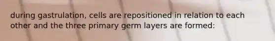 during gastrulation, cells are repositioned in relation to each other and the three primary germ layers are formed: