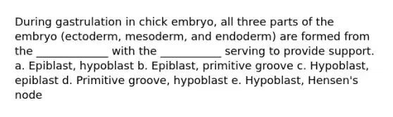 During gastrulation in chick embryo, all three parts of the embryo (ectoderm, mesoderm, and endoderm) are formed from the _____________ with the ___________ serving to provide support. a. Epiblast, hypoblast b. Epiblast, primitive groove c. Hypoblast, epiblast d. Primitive groove, hypoblast e. Hypoblast, Hensen's node