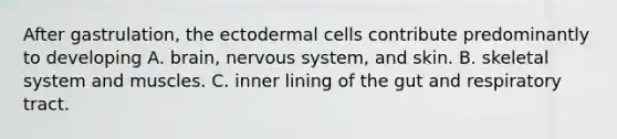 After gastrulation, the ectodermal cells contribute predominantly to developing A. brain, nervous system, and skin. B. skeletal system and muscles. C. inner lining of the gut and respiratory tract.