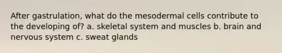 After gastrulation, what do the mesodermal cells contribute to the developing of? a. skeletal system and muscles b. brain and <a href='https://www.questionai.com/knowledge/kThdVqrsqy-nervous-system' class='anchor-knowledge'>nervous system</a> c. sweat glands