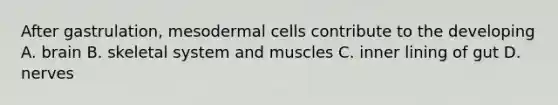 After gastrulation, mesodermal cells contribute to the developing A. brain B. skeletal system and muscles C. inner lining of gut D. nerves