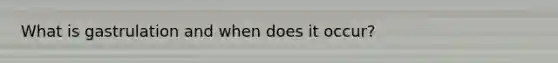 What is gastrulation and when does it occur?
