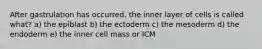 After gastrulation has occurred, the inner layer of cells is called what? a) the epiblast b) the ectoderm c) the mesoderm d) the endoderm e) the inner cell mass or ICM