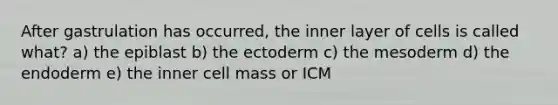 After gastrulation has occurred, the inner layer of cells is called what? a) the epiblast b) the ectoderm c) the mesoderm d) the endoderm e) the inner cell mass or ICM