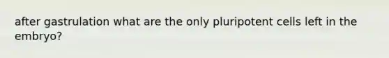 after gastrulation what are the only pluripotent cells left in the embryo?