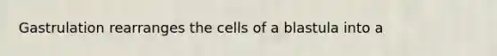 Gastrulation rearranges the cells of a blastula into a