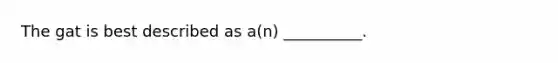 The gat is best described as a(n) __________.