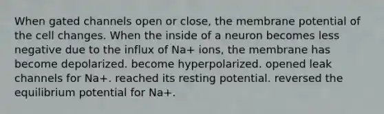 When gated channels open or close, the membrane potential of the cell changes. When the inside of a neuron becomes less negative due to the influx of Na+ ions, the membrane has become depolarized. become hyperpolarized. opened leak channels for Na+. reached its resting potential. reversed the equilibrium potential for Na+.