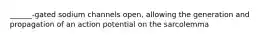 ______-gated sodium channels open, allowing the generation and propagation of an action potential on the sarcolemma