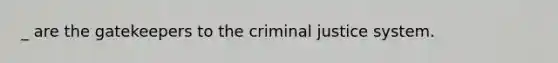 _ are the gatekeepers to the criminal justice system.