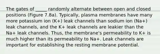 The gates of _____ randomly alternate between open and closed positions (Figure 7.8a). Typically, plasma membranes have many more potassium ion (K+) leak channels than sodium ion (Na+) leak channels, and the K+ leak channels are leakier than the Na+ leak channels. Thus, the membrane's permeability to K+ is much higher than its permeability to Na+. Leak channels are important for establishing the resting membrane potential.