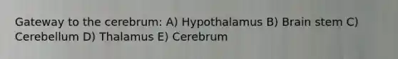 Gateway to the cerebrum: A) Hypothalamus B) Brain stem C) Cerebellum D) Thalamus E) Cerebrum