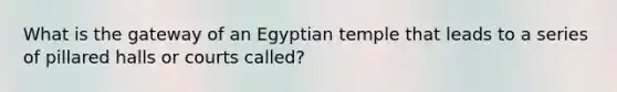 What is the gateway of an Egyptian temple that leads to a series of pillared halls or courts called?